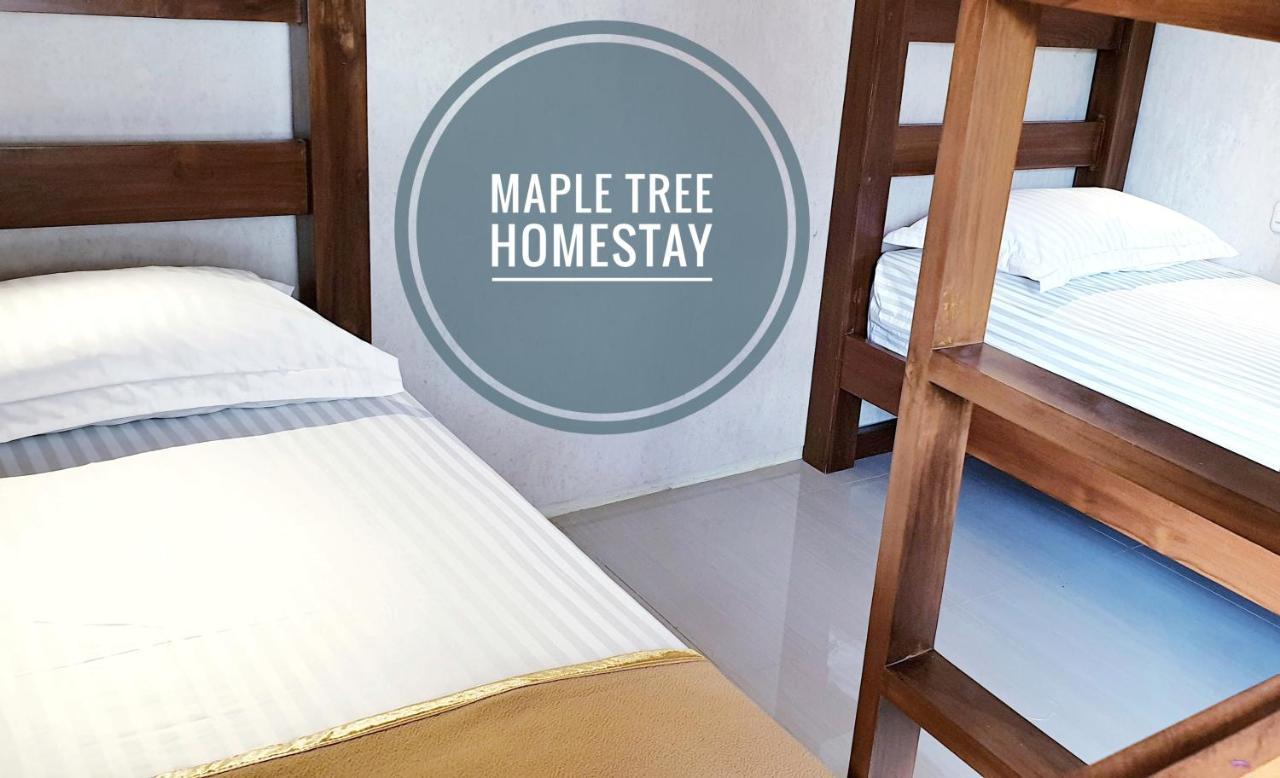 Maple Tree Homestay Maguwo Exterior foto